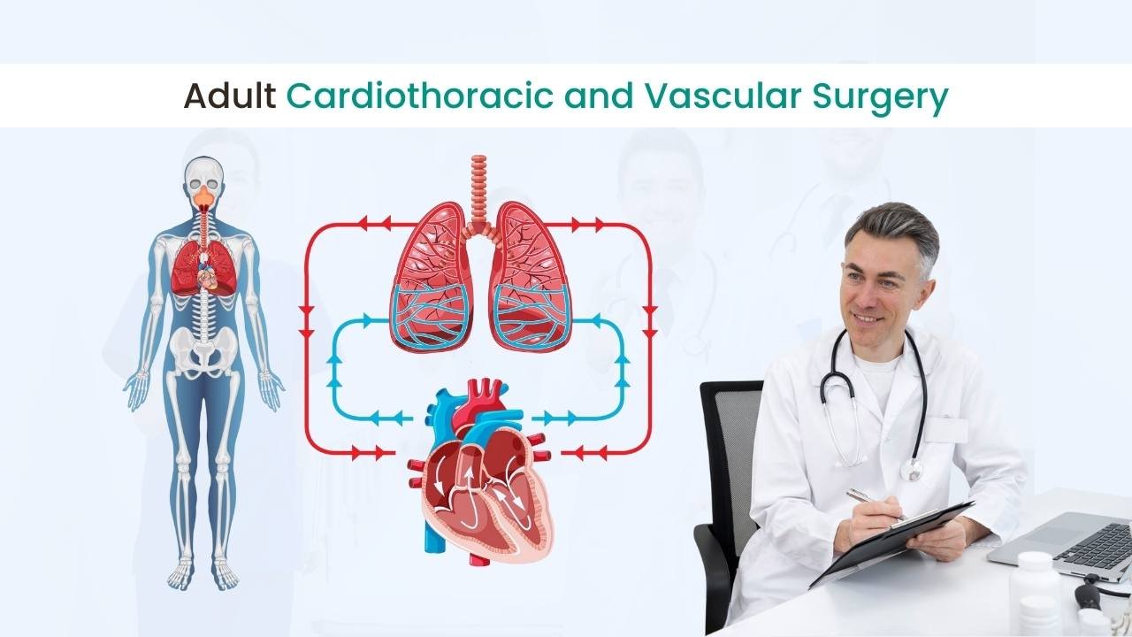 Adult Cardiothoracic and Vascular Surgery: An Overview