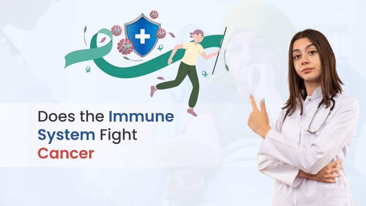Does the Immune System Fight Cancer